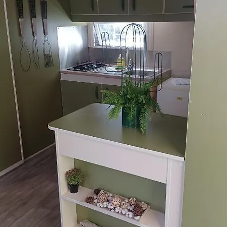 Le Petit D' Anto-france * Levie