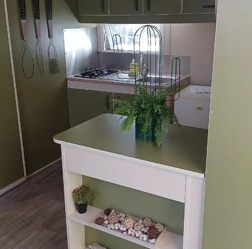 Le Petit D' Anto-france * Levie