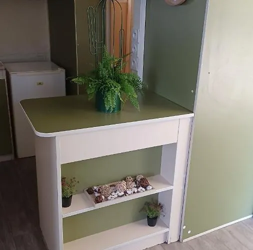 Le Petit D' Anto-france *